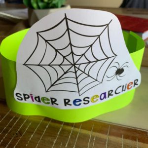 Spider researcher hat made of paper for students to wear