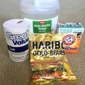 Easy winter science experiment materials with salt vinegar gummy bears and baking soda