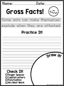 sample page of the gross fact handwriting worksheets for older kids