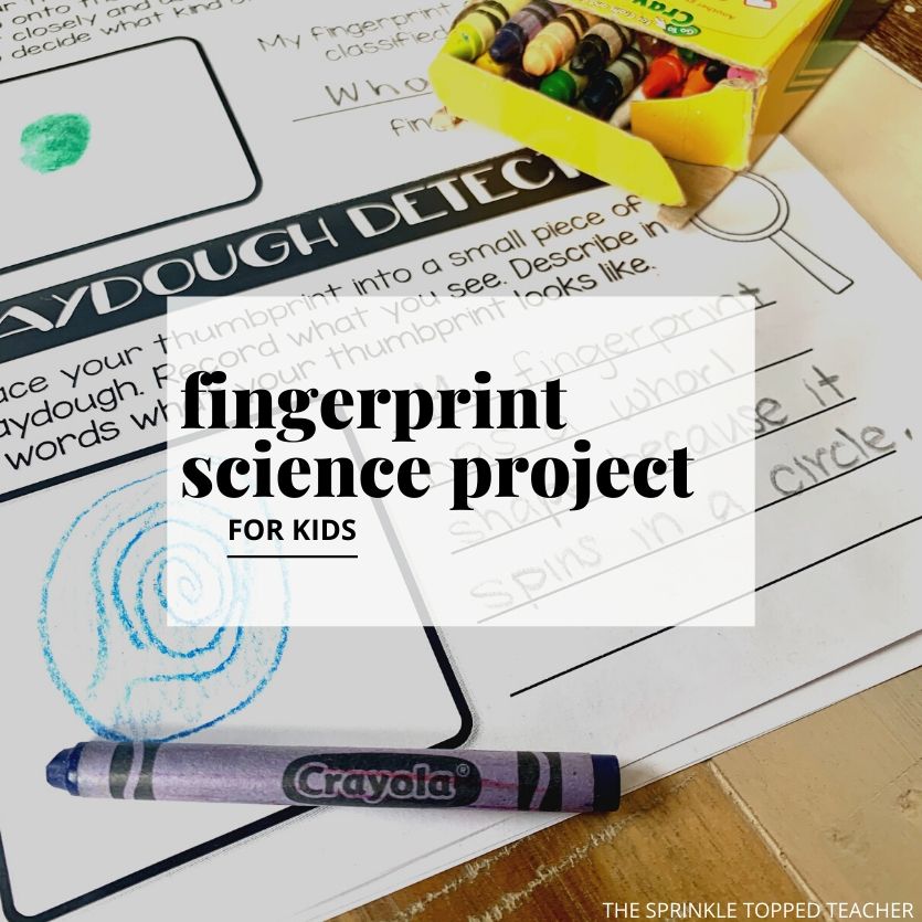 fingerprint science project for kids with crayons and science worksheets image