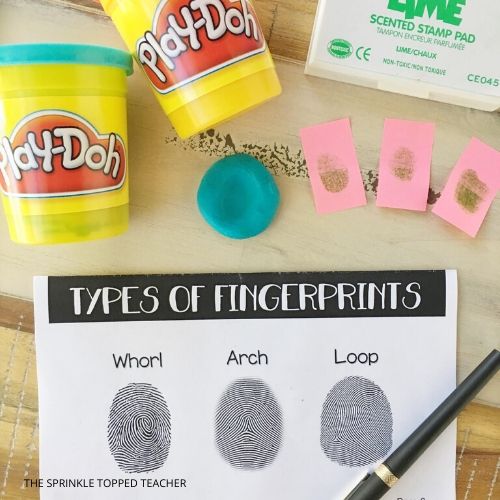 Play doh, and ink fingerprints along with the different types of prints.