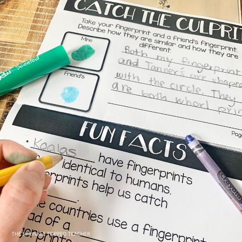 Student writing fun facts about fingerprints while working on the fingerprint science project for kids