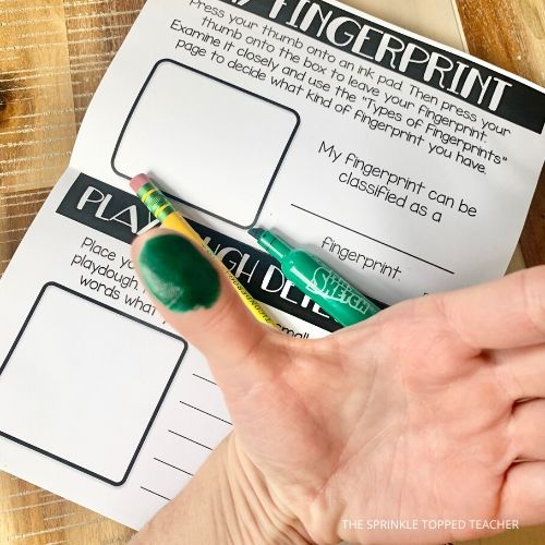 Close up of student's finger with green ink. Background is fingerprint science project for kids workbook