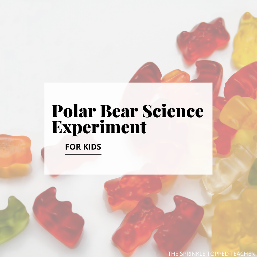 Polar bear science experiment for kids with gummy bears