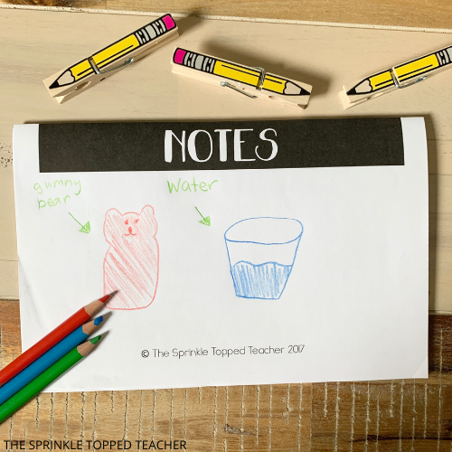 student scientific method booklet with drawing of gummy bear and water