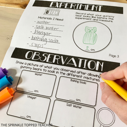 Student filling out scientific method booklet with gummy bears