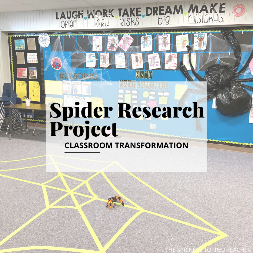 Spider Research Projects Classroom Transformation