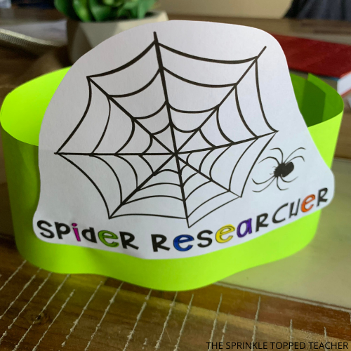 Spider research hat craft for kids