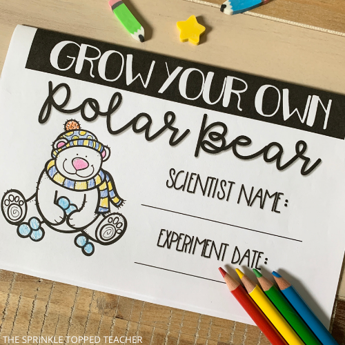 Grow your own polar bears science lesson workbook with colored pencils