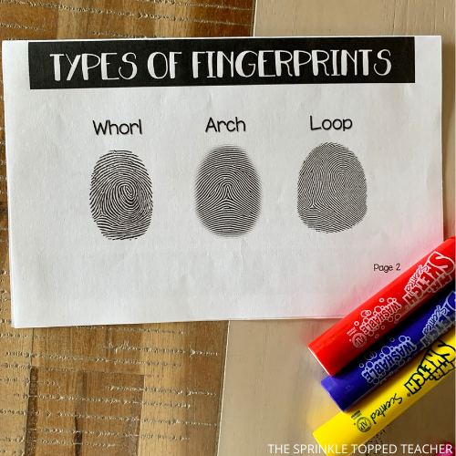 Types of fingerprints from forensics lesson 
