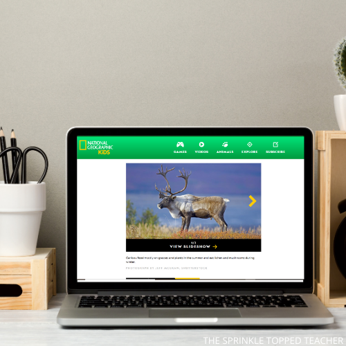 computer with reindeer research for kids