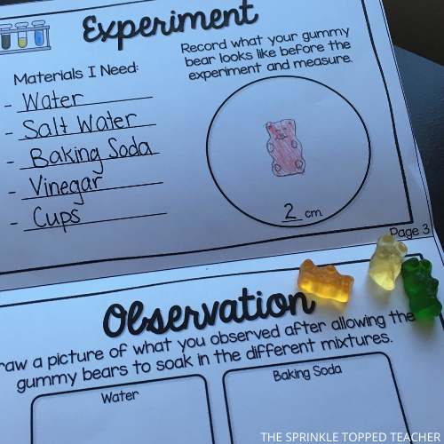 Polar Bear science experiment with gummy bears