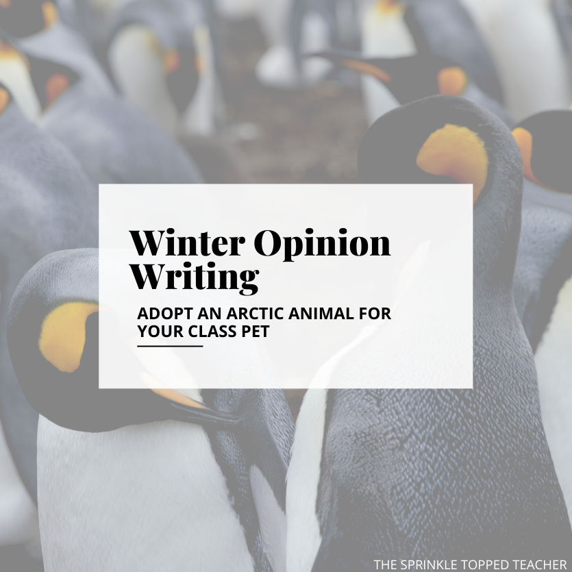 Winter Opinion Writing Activity for 2nd Grade