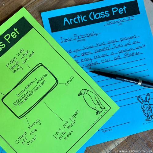 Arctic animal class pet project for winter opinion writing
