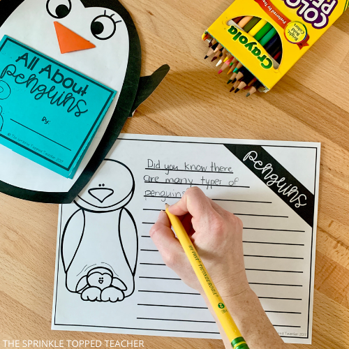 kid writing fun facts about penguins for their research activity in the classroom