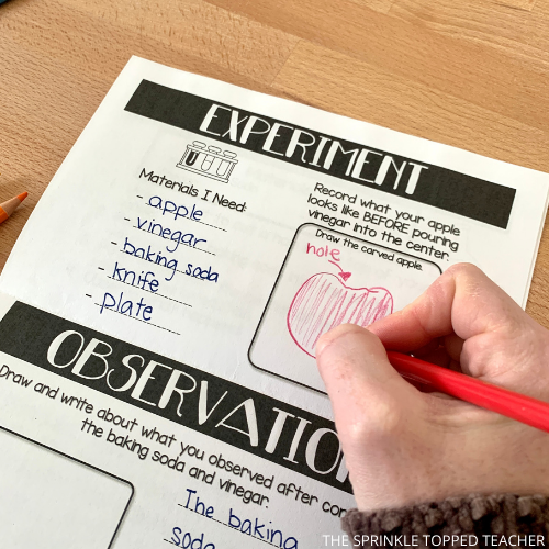 student completing the experiment section on a science lesson workbook, student drawing apple