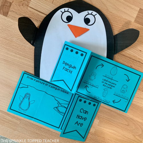 Student penguin craft and research activity with life cycle and penguin habitat sharing Fun Facts About Penguins For Kids