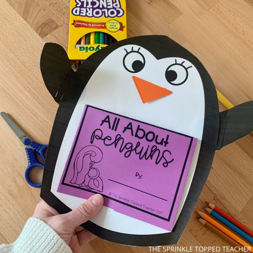 Fun Facts About Penguins For Kids