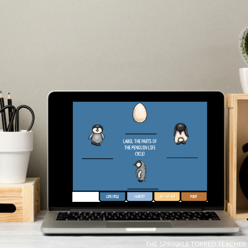 computer screen with digital life cycle of a penguin activity