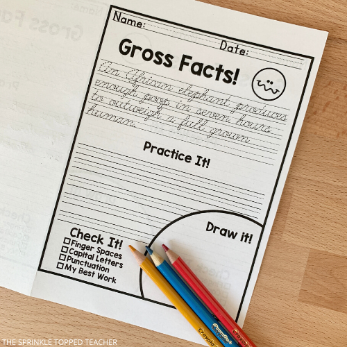 gross fact handwriting page for students