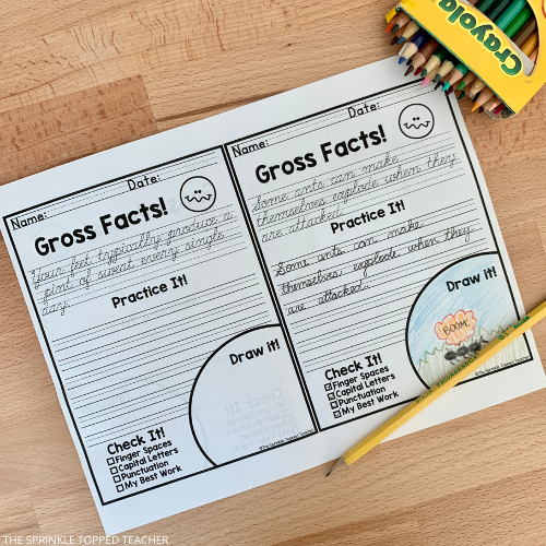 cursive handwriting book for students with crayons and pencil