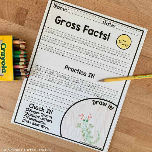 free printable handwriting worksheets for kids  Gross fact page with lizard drawing and pencil 
