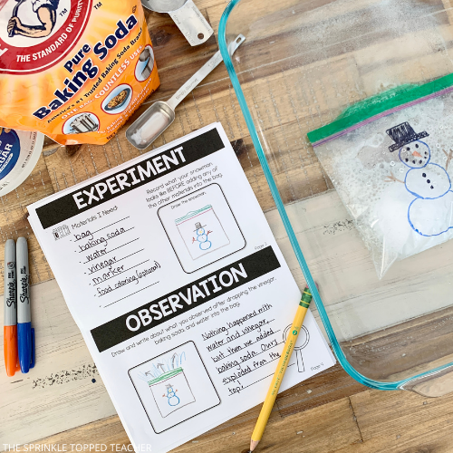 Student working on scientific method notebook for snowman science