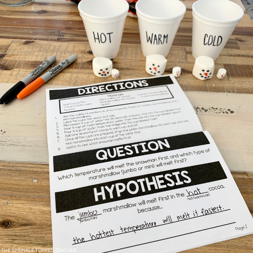 Student science experiment booklet with marshmallows and hot chocolate