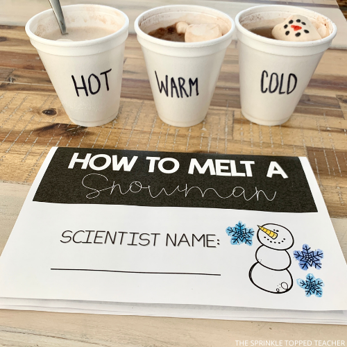 Hot chocolate science experiment booklet with cups of hot cocoa and marshmallows