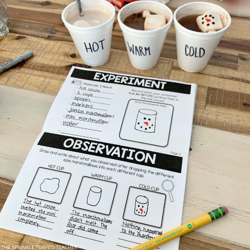 Student science workbook with drawings of hot chocolate and marshmallow snowmen