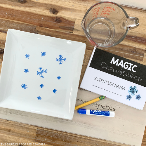 Plate with snowflakes drawn on in dry erase marker for the snow science experiment