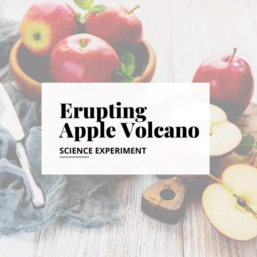Erupting Apple Volcano Science Experiment