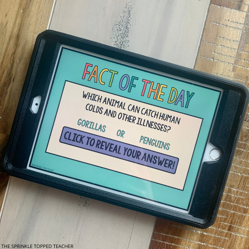 student ipad with a fact of the day for their ELA warm up