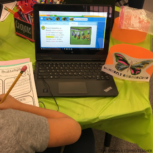Student working on a digital butterfly lesson