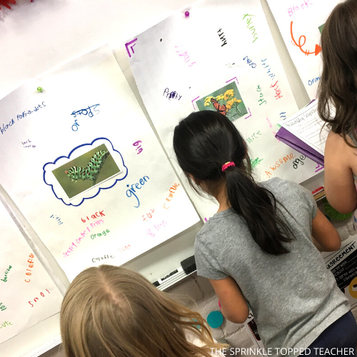 Students working on adjectives with caterpillars and butterfly pictures