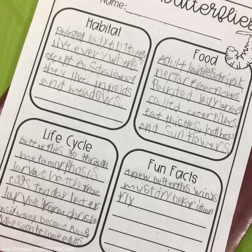 Butterfly worksheet with student handwriting. Habitat, food, life cycle, and fun facts