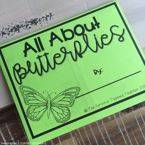 All about butterfly life cycle activity for students on green worksheet