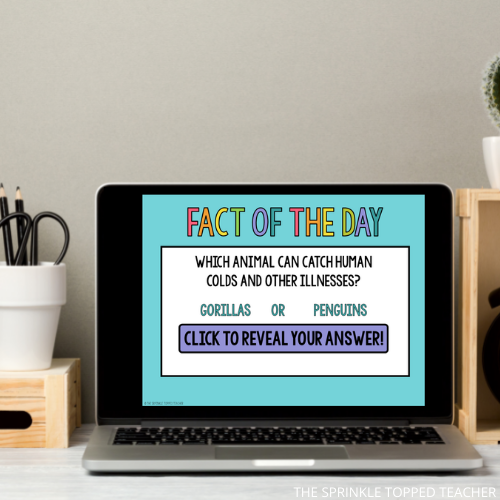 Fact of the Day on computer screen. Included as part of a 3rd grade ELA warm up
