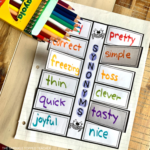 Synonym And Antonym Interactive Notebook