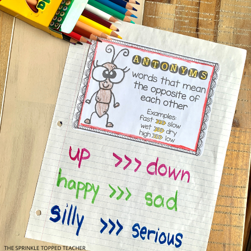 antonym lesson with worksheet