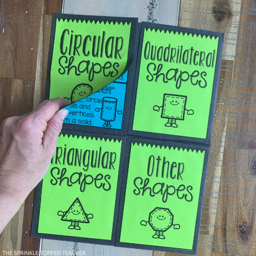 Blue and green foldable being opened by a hand. The second grade geometry foldable is sectioned into four parts: circular shapes, quadrilateral shapes, triangular shapes, and other shapes.