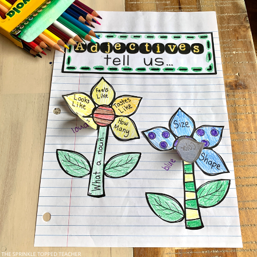 Two flowers are on the interactive notebook pages which describe adjectives. Adjectives tell us what a noun looks like, feels like, sounds like, tastes like and how many there are. They also describe size, color and shape. The flower petals lift to reveal answers underneath.