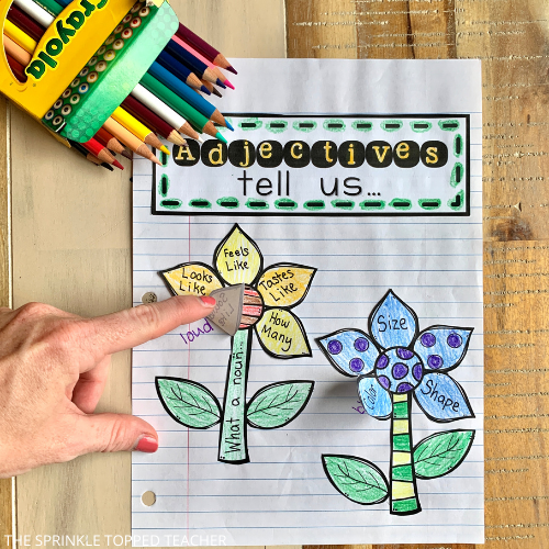 Parts of speech worksheet that says, "adjectives tell us..." with two flowers underneath. The flowers use descriptive words for size, shape and color. They also describe what a noun looks like, feels like, tastes like, sounds like and how many there are. A person's finger is lifting the flower petal as a flap on the page of the interactive parts of speech notebook.