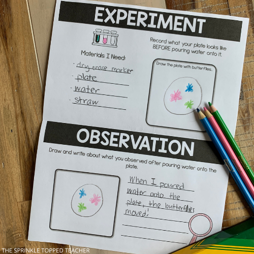 Students record their observations and materials needed on this page of the butterfly science experiment. There are colored pencils lying nearby.