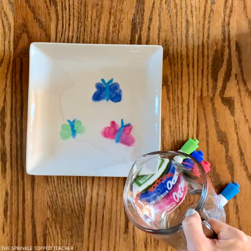Student is pouring water over their butterflies drawn on a ceramic dish with dry erase markers. This is step two of the butterfly science experiment.