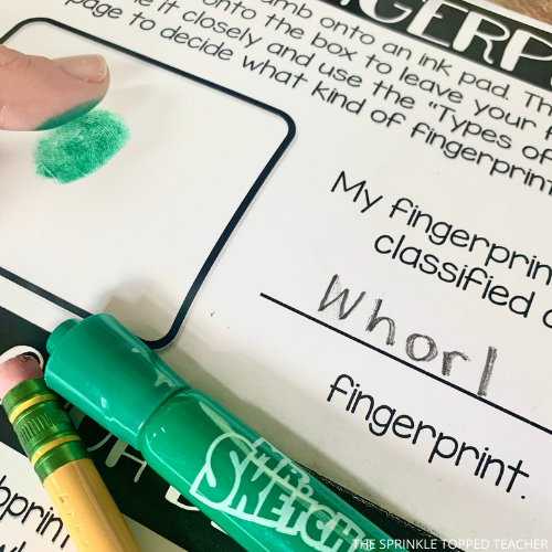 A student places their fingerprint on the page using a Mr. Sketch marker, to record their type of fingerprint in this easy scientific method experiment.