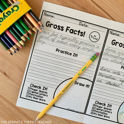Gross facts cursive handwriting worksheet on student desk with pencil and color pencils
