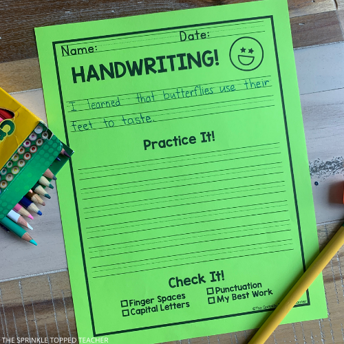 Blank Handwriting Pages to improve student writing printed on colorful paper. Student has writen a sentence at the top.