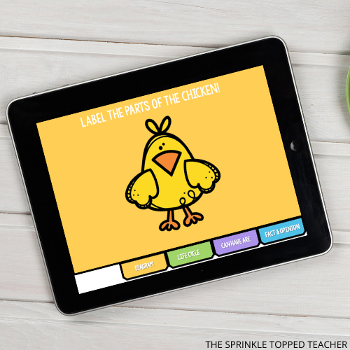 Students learn about the chicken life cycle with this in depth printable and Google Slides.
