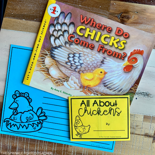 Students learn about the chicken life cycle with this in depth printable and Google Slides.